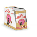   Royal Canin MAINE COON KITTEN ( ).  2