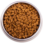   Gemon Cat Adult Complete (  ).  2