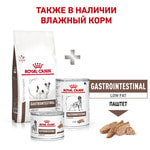   Royal canin Gastrointestinal Low Fat Small Dog.  2