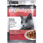   ProBalance Active.  2