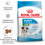   Royal Canin MINI PUPPY.  2