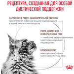   Royal canin GASTROINTESTINAL FELINE .  2