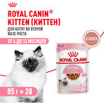   Royal Canin Kitten   .  2