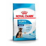   Royal anin Maxi Puppy.  2