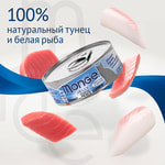   Monge jelly Adult cat        .  2