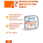   Monge VetSolution Dog Renal and Oxalate.  2