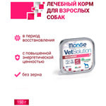   Monge VetSolution Dog Recovery.  2