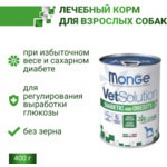   Monge VetSolution Dog Diabetic and Obesity.  2