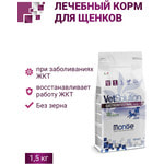   Monge VetSolution Dog Gastrointestinal  .  2