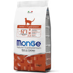   Monge Cat Senior ().  2