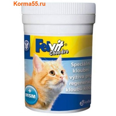Felvit Chondro