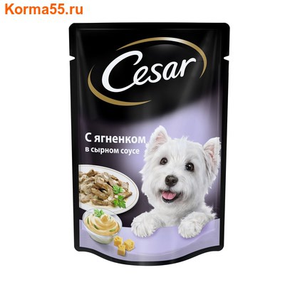  CESAR      ()