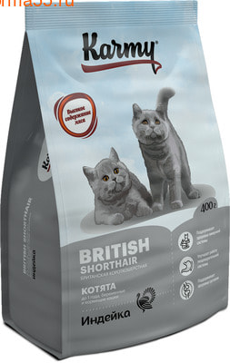   Karmy British Shorthair Kitten ()