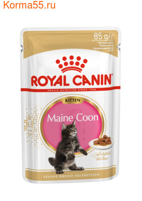   Royal Canin MAINE COON KITTEN ( ) ()