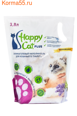  Happy Cat 