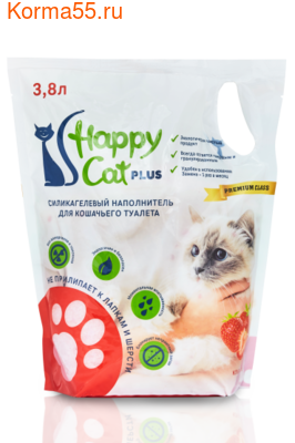  Happy Cat 