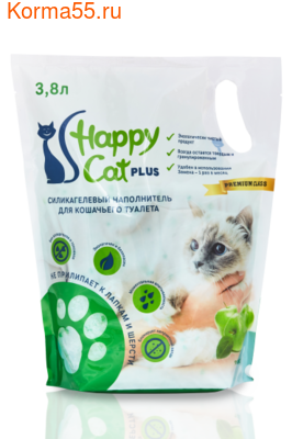  Happy Cat 