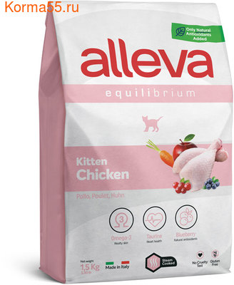   Alleva Equilibrium Kitten