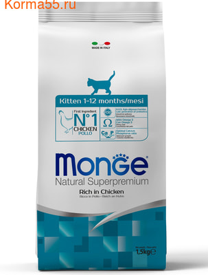   Monge Cat Kitten () ()