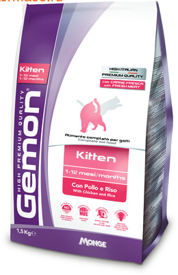   Gemon Cat Kitten (  ) ()