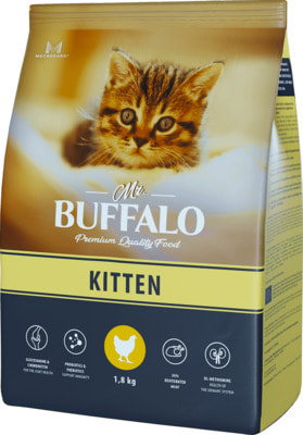   MR. BUFFALO KITTEN   ()