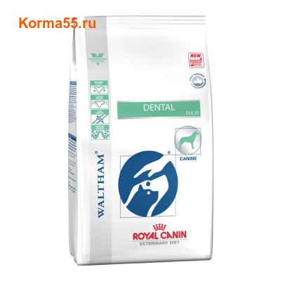  DENTAL DLK 22 CANINE (