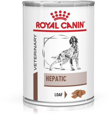   HEPATIC CANINE  ()