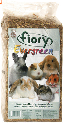  FIORY Evergreen  ()