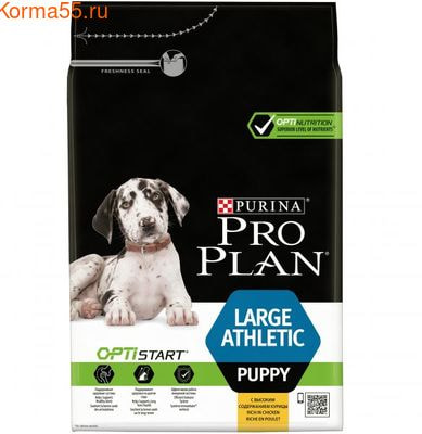   Pro Plan   ,   
