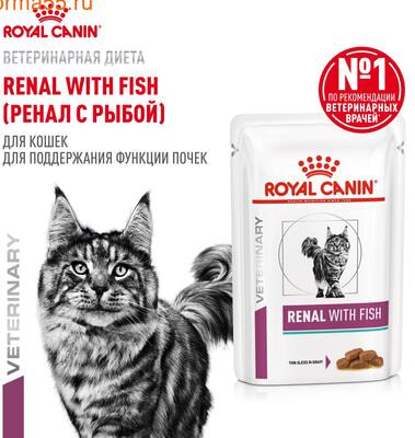   Royal canin renal with fish (  ),   ()