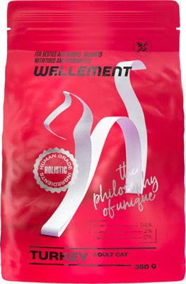 ����� ���� Wellement ��� ����� � �������������� ������������ (����)