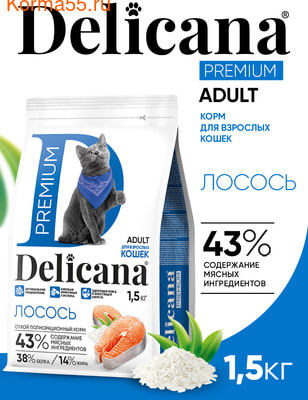 Сухой корм DELICANA Сух.д/кошек Лосось Сухой корм DELICANA Сух.д/кошек Лосось (фото)