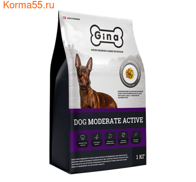   Gina Dog Moderate Active