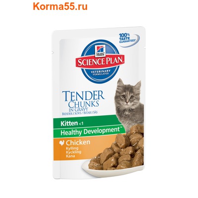   SP Feline Kitten Chicken