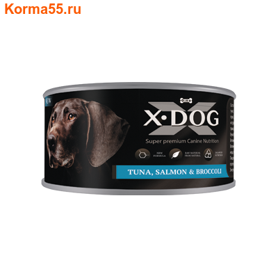   X-DOG      ()
