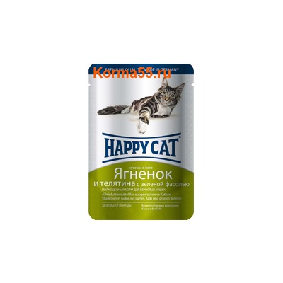   Happy Cat   