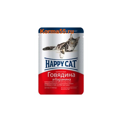   Happy Cat   