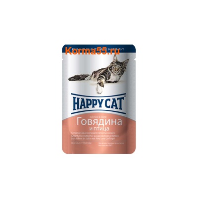   Happy Cat   