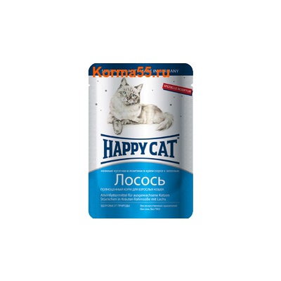   Happy Cat 