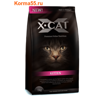   X-CAT Kitten