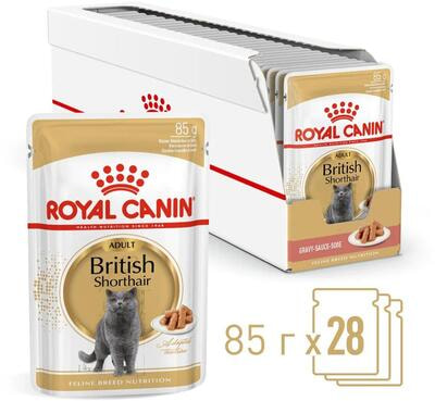   Royal Canin British Shorthair Adult ( ) ()