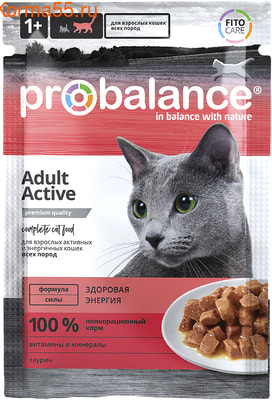   ProBalance Active ()