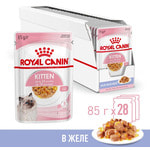   Royal Canin Kitten Jelly ( )