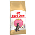   Royal canin KITTEN MAINE COON