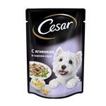  CESAR     