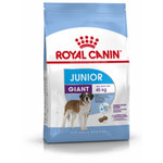 Сухой корм Royal canin GIANT JUNIOR