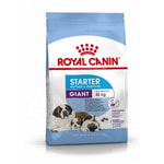   Royal canin GIANT STARTER MOTHER & BABYDOG