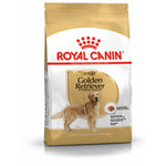   Royal canin GOLDEN RETRIEVER ADULT