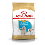 Сухой корм Royal Canin Golden Retriever Puppy