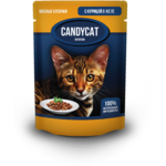   Candycat    